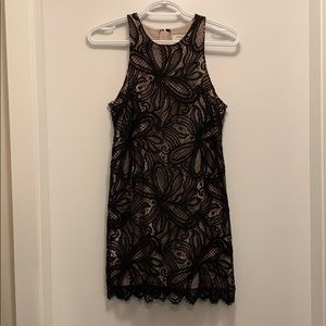 Aritzia Babaton Henry Dress